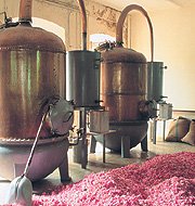 cuves-parfum Parfum ou eau de toilette