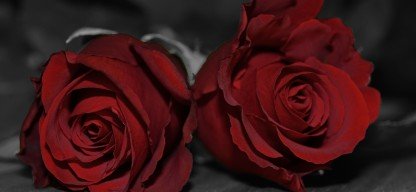 roses-1128954_1920
